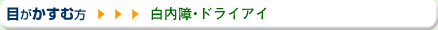 �ڂ������ޕ�