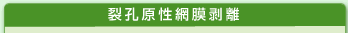 裂孔原性網膜剥離
